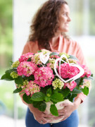 hydrangea hortensia kamerplant kamerhortensia house plant 2024 valentijnsdag valentijn gift cadeau moederdag mothers day model heart hart hartjes Shoot mei 2023 tbv 2024