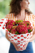 hydrangea hortensia kamerplant kamerhortensia house plant 2024 valentijnsdag valentijn gift cadeau moederdag mothers day model heart hart hartjes Shoot mei 2023 tbv 2024