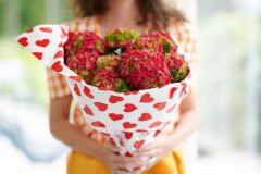 hydrangea hortensia kamerplant kamerhortensia house plant 2024 valentijnsdag valentijn gift cadeau moederdag mothers day model heart hart hartjes Shoot mei 2023 tbv 2024