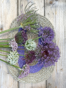 FAM_IMG_0044-AA-Allium-Collection-high