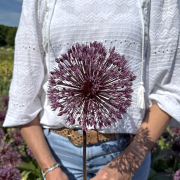 FAM_IMG_0076-AA-ALlium-Nevskianum-high