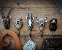 Wildlife Garden