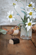 WG4486_DB_CommonNightingale_LS-1