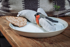 WG4589_NR_Bullfinch_LS_winter-1