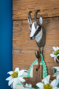 WG4630_Hook_Chamois_LS-1