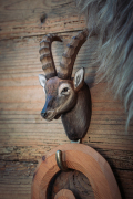 WG4632_Hook_AlpineIbex_LS_winter-1