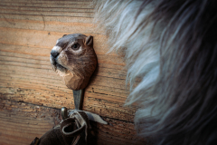 WG4634_Hook_Marmot_LS_winter-2