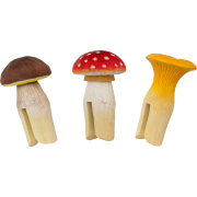 WG4652_FD_Mushrooms_Angle