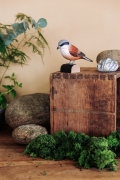 Wildlife_Garden_WG4447_DecoBird_Red-Backed-shrike_Lifestyle1_filtered