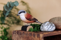 Wildlife_Garden_WG4447_DecoBird_Red-Backed-shrike_Lifestyle2_filtered