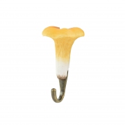 Wildlife_Garden_WG4550_Hook_Chanterelle_Angle