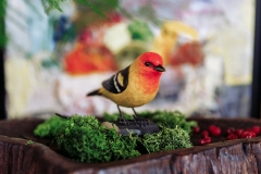Wildlife_Garden_WG4679_Western-Tanager_Lifestyle_filtered