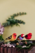 Wildlife_Garden_WG4814_WGWG4678_WG4679_Decobirds_Lifestyle_filtered