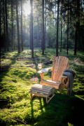 BEAR_CHAIR_uup0009-1-von-1
