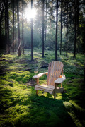 BEAR_CHAIR_uup0021-1-von-1
