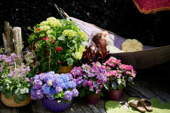 hydrangea world hortensia model manrelaxenhangmat fatboy