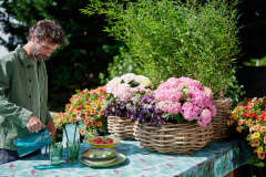 tuinhortensiashoot Elize Eveleens tuintafel hortensia model man