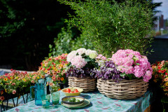 tuinhortensiashoot Elize Eveleens tuintafel