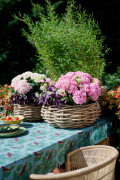 hydrangea world hortensia tuintafel