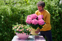 hydrangea world hortensia model mantuintafel