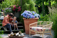 tuinhortensiashoot Elize Eveleensgrote pothortensia model manklein kindvader zoon terracotta