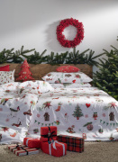 Apelt_Finn_80_4362_34_6200_80_30