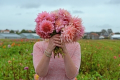 FAM_Dahlien_People_Penhill_Watermelon