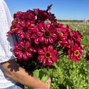 FAM_Flower_Farm_IMG_4569-AA-Hootenanny