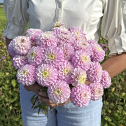 FAM_Flower_Farm_3798-AA-Genova-high