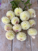 FAM_Flower_Farm_4048-AA-Jowey-Venice-plank-high