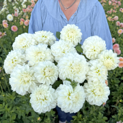 FAM_Flower_Farm_4284-AA-Bride-to-Be-high