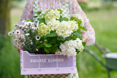 Endless Summer ES Campaign Fotoshoot 2024The BridePink basket Campagne