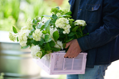 Endless Summer ES Campaign Fotoshoot 2024The BridePink basket Campagne
