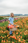 FAM_Flower_Farm_FAM_Flower_Farm_Z63_3698_Lilian_Fotografie_Fam_Flower_Farm_Dahlias_Noordwijkerhout_2025-09-27