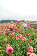 FAM_Flower_Farm_Z63_2908_Lilian_Fotografie_Fam_Flower_Farm_Dahlias_Noordwijkerhout_2025-09-27