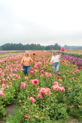 FAM_Flower_Farm_Z63_2943_Lilian_Fotografie_Fam_Flower_Farm_Dahlias_Noordwijkerhout_2025-09-27