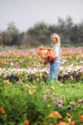 FAM_Flower_Farm_Z63_4164_Lilian_Fotografie_Fam_Flower_Farm_Dahlias_Noordwijkerhout_2025-09-27