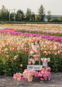 FAM_LA1_3076_Lilian_fotografie_FAM_Flower_Farm_Linda_Marlies_Dahlia_Voorhout_2023_09_14
