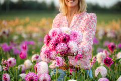 FAM_LA1_3194_Lilian_fotografie_FAM_Flower_Farm_Linda_Marlies_Dahlia_Voorhout_2023_09_14