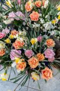 AA-famflowerfarm-tulpen-en-narcissen-HR-14