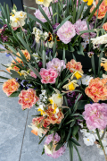AA-famflowerfarm-tulpen-en-narcissen-HR-16