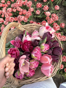 FAM_Flower_Farm_IMG_0015-AA-tulpen-plukmand-high