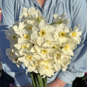FAM_Flower_Farm_IMG_0821-AA-Lieke-high