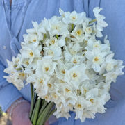 FAM_Flower_Farm_IMG_0895-AA-Pollys-Pearl-high