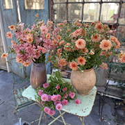 FAM_Flower_Farm_IMG_5820-AA-Moderna-roze-en-oranje-vierkant-high
