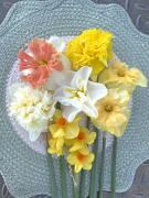 FAM_Flower_Farm_IMG_8061-AA-Narcissen-gemengd-high