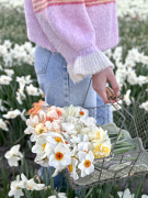 FAM_Flower_Farm_IMG_9669-AA-Narcissen-mand-gemengd-high