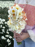 FAM_Flower_Farm_IMG_9688-AA-Narcissen-bos-gemengd-high