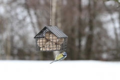 Wildlife_Garden_WG3343_SuetBallFeederCottage_Black_Lifestyle-1