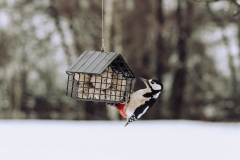 Wildlife_Garden_WG3343_SuetBallFeederCottage_Black_Lifestyle-11